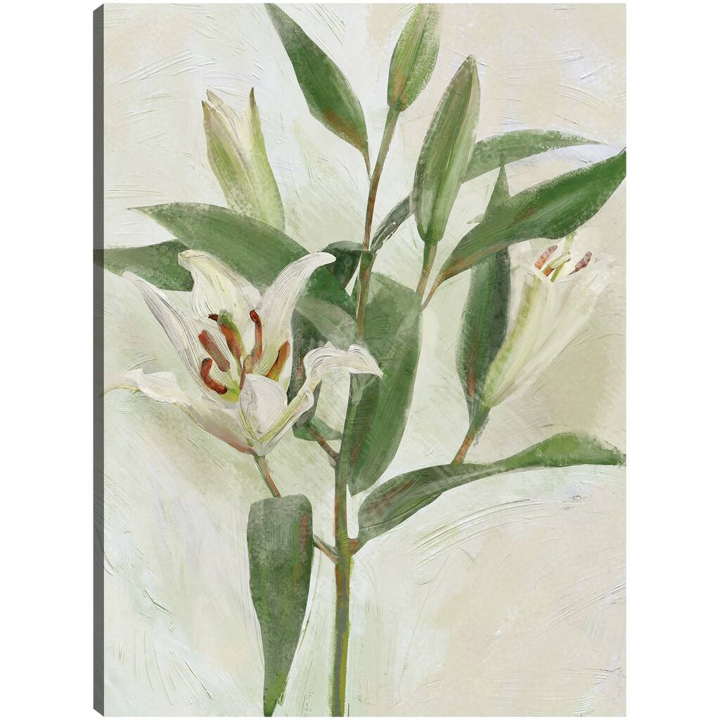 Lys Blancs I By Studio Arts Canvas Art Print