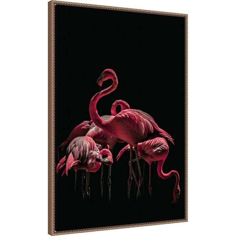 Bird 68 by Rachel Lee 3 Birdies Studio Framed Canvas Wall Art Print