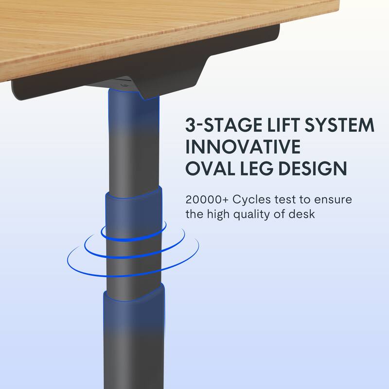 FLEXISPOT Electric Height Adjustable Standing Desk 3-Stage Dual Motor With Curved Bamboo Desktop