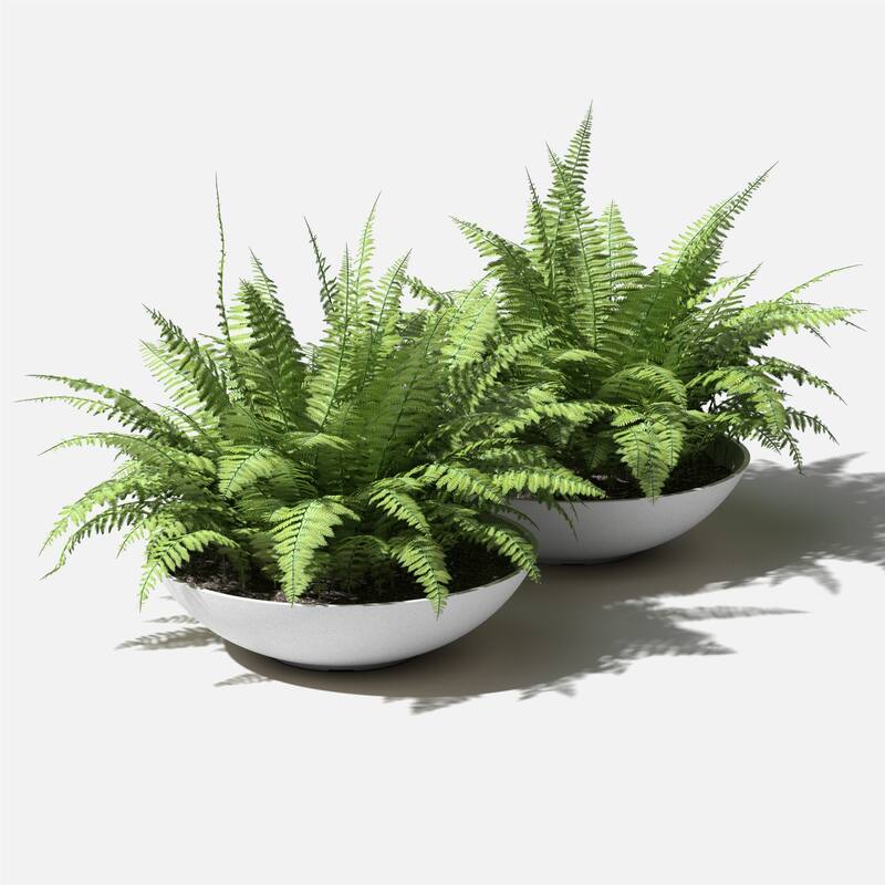 Veradek Pure Series Lane Bowl