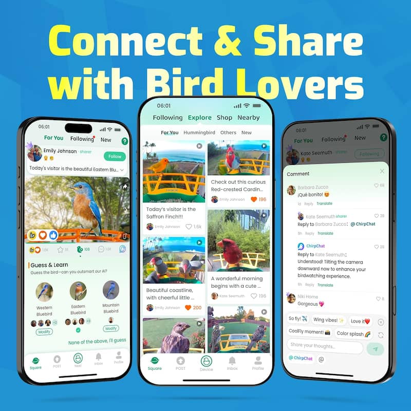 Smart Solar Bird Feeder with Camera and Interactive App