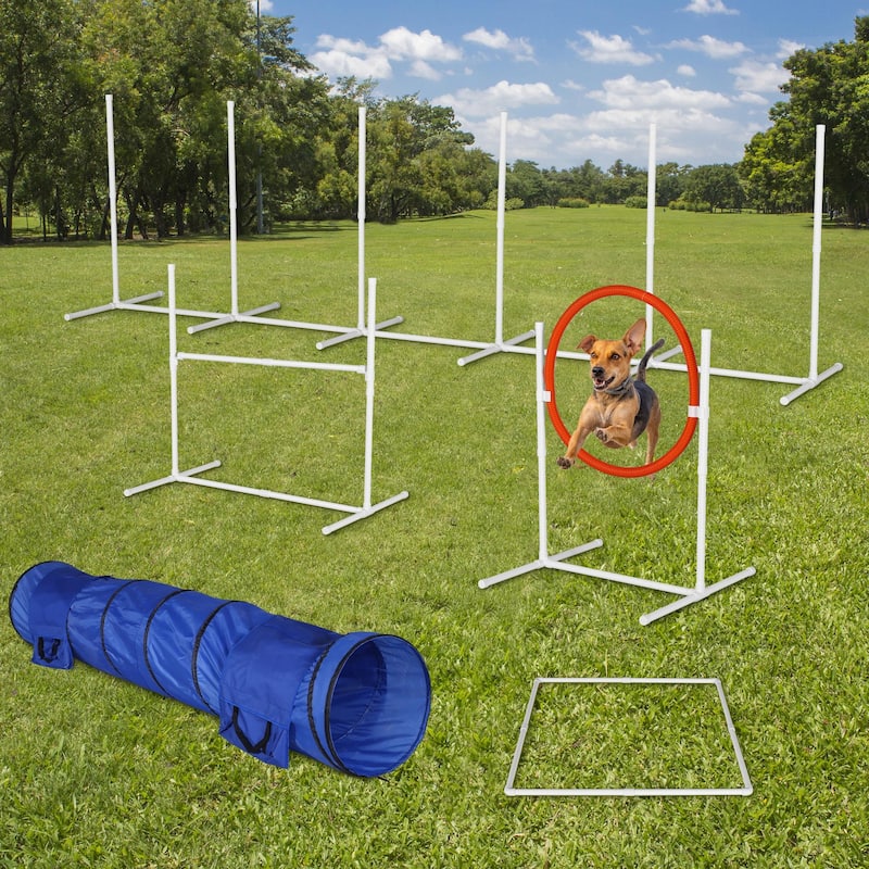 Dog Agility Challenge Set - 6-Pack Jump Training Obstacles - 6-Piece - 6-Piece - Plastic