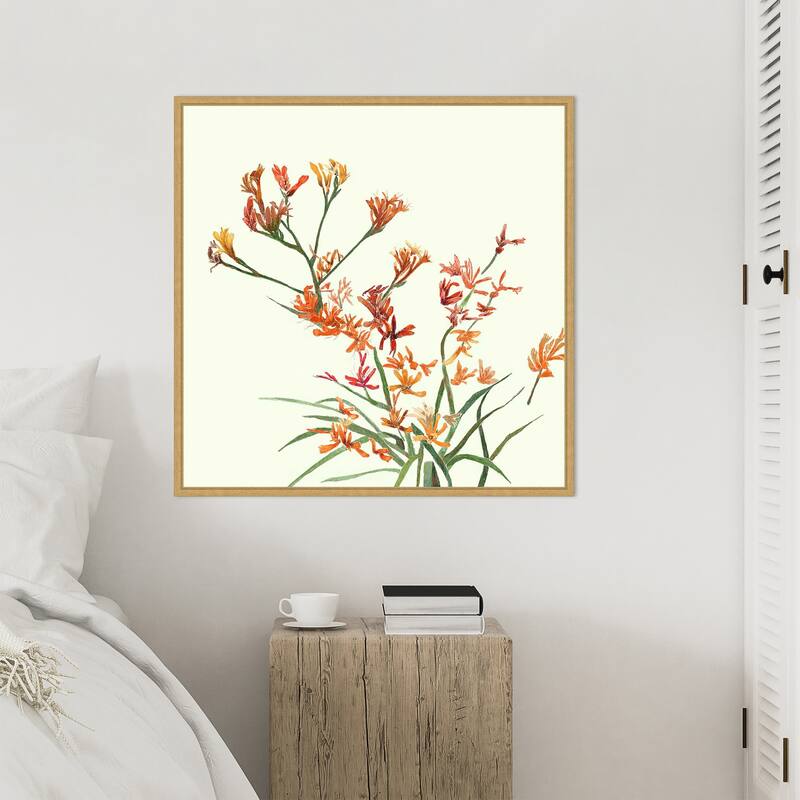 Kangaroo Paw 1 by Elan Studios Framed Canvas Wall Art Print - Sylvie Bright Gold