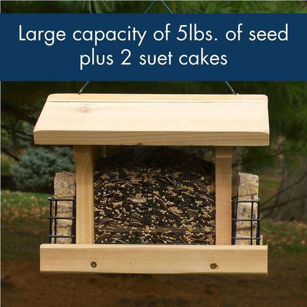 Shop Audubona Naranch3 Large Ranch Bird Feeder With Suet 5 Lbs