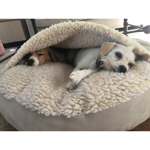 snoozer cozy cave pet bed