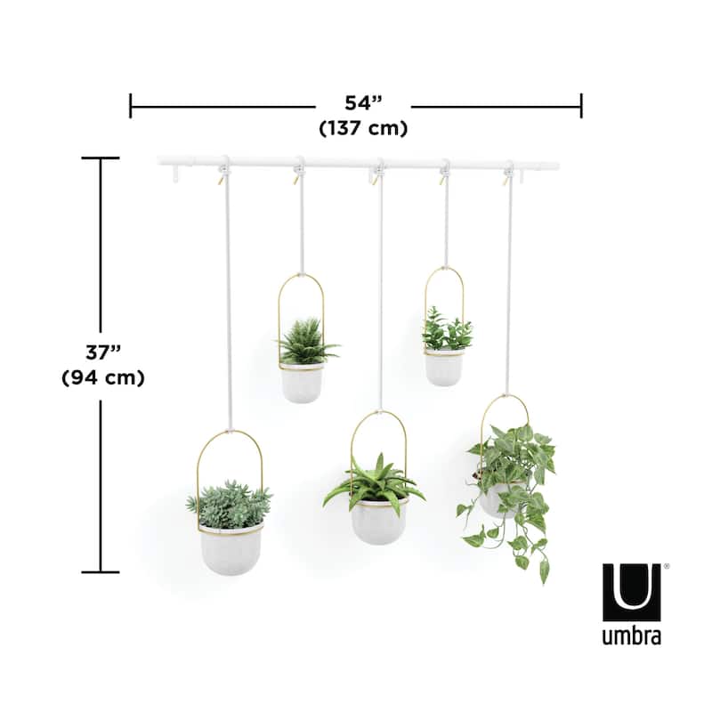 Umbra 1018086 Triflora 7-1/4" Wide Steel Hanging Planters
