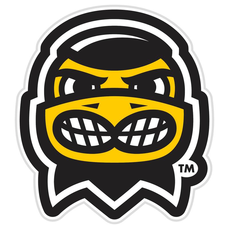 University of Iowa College Mascot Plug-In LED Lighted Sign