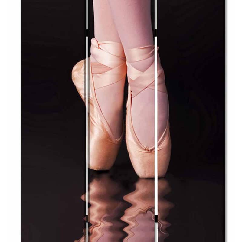 Ballet Shoe Print Foldable Canvas Screen with 3 Panels, Black and Pink - 6 x 12