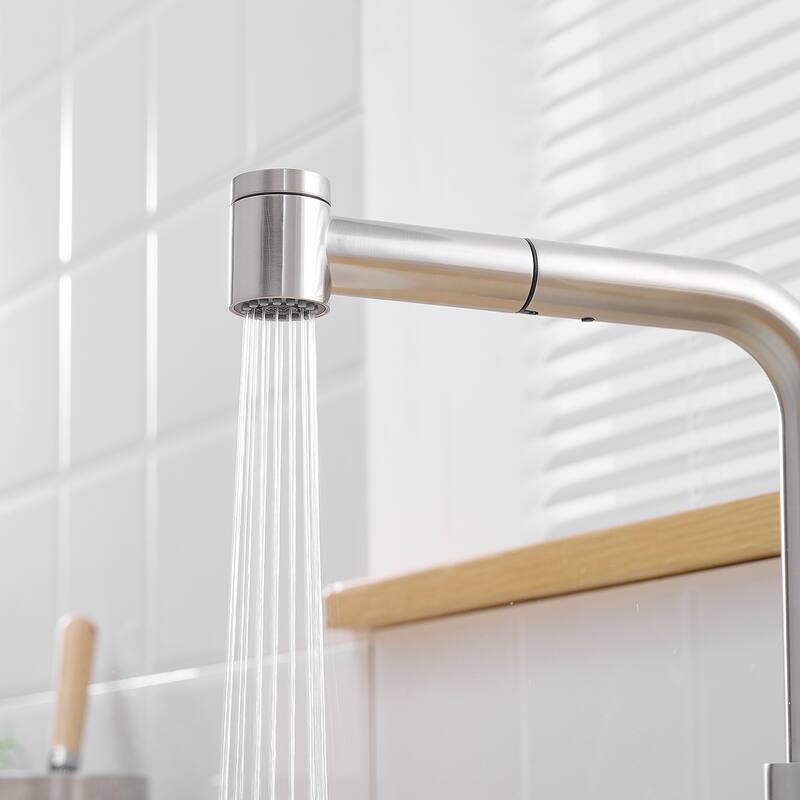 Single Handle Kitchen Faucet with Pull Out Spray