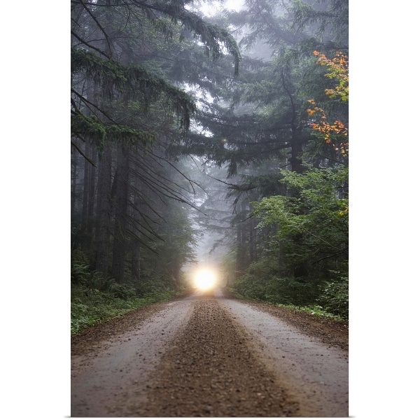 "Dirt road in misty forest with headlights in distance" Poster Print