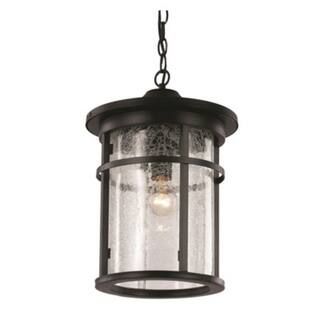 Trans Globe Lighting Avalon Single Light 11" Wide Outdoor Pendant with