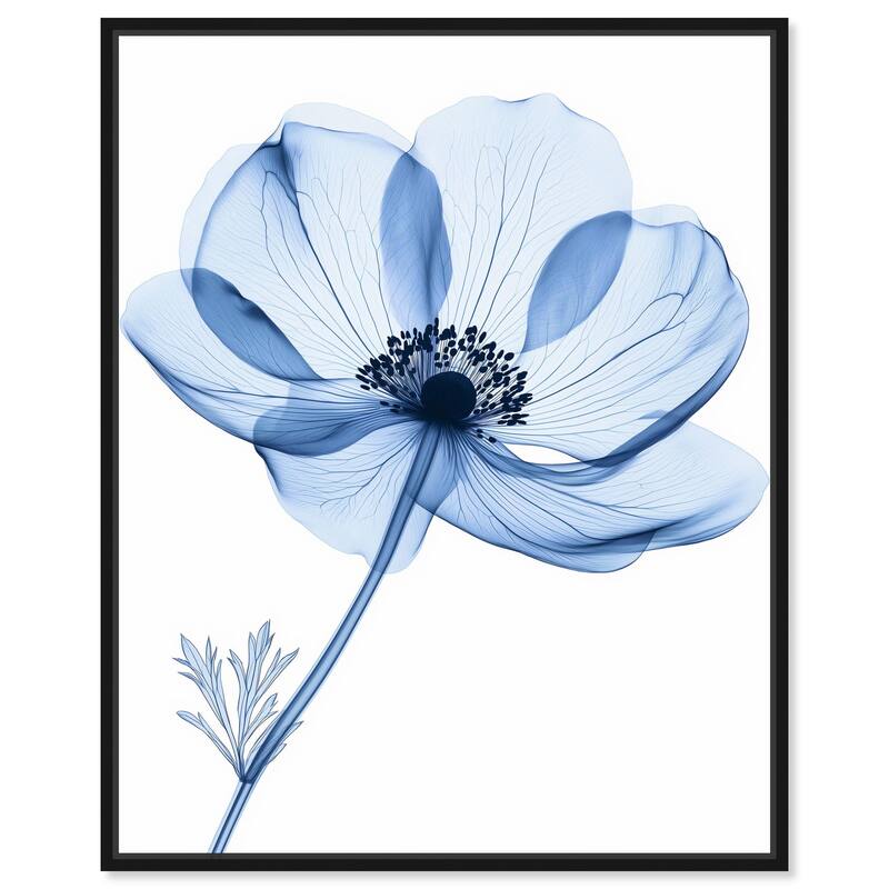 Floral Radiograph Canvas by Art Remedy - Black - 36" x 45"