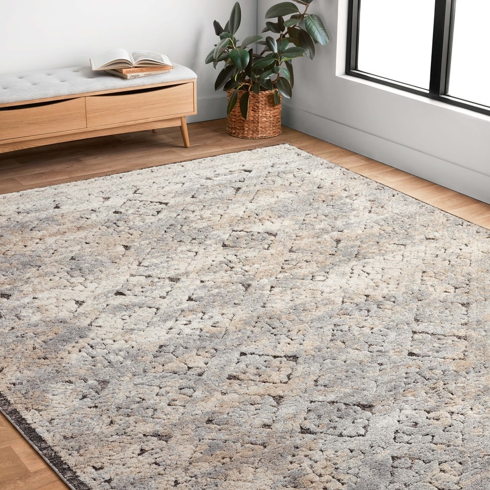 Alexander Home Giovanni Vintage Botanical Trellis Area Rug