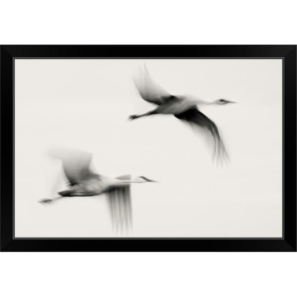 "Flying Dreams" Black Framed Print