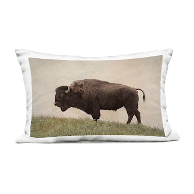 Stupell Serene Buffalo on Country Hill Printed Outdoor Throw Pillow Design by Steve Toole