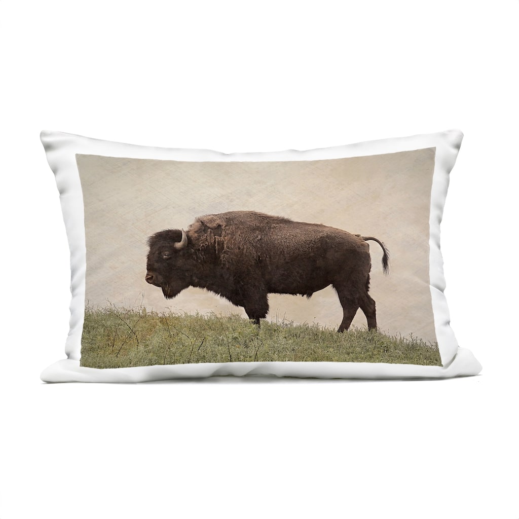 Stupell Serene Buffalo on Country Hill Printed Outdoor Throw Pillow Design by Steve Toole