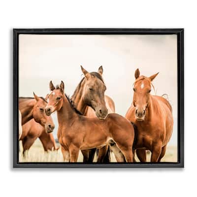 Stupell Horse & Foals Photography Framed Floater Canvas Wall Art Design by Krista Broadway