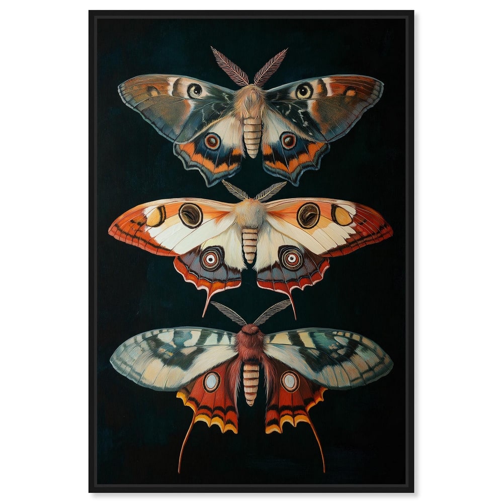 Void's Vivid Visitors Canvas by Art Remedy