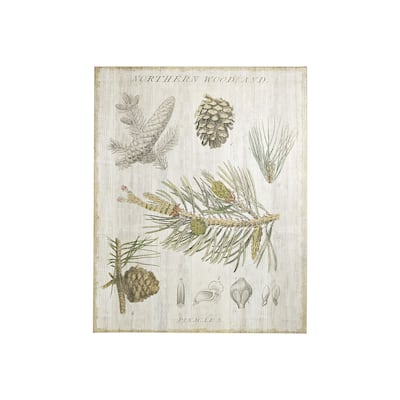 Woodland Chart III (28 x 35) Canvas Art Print