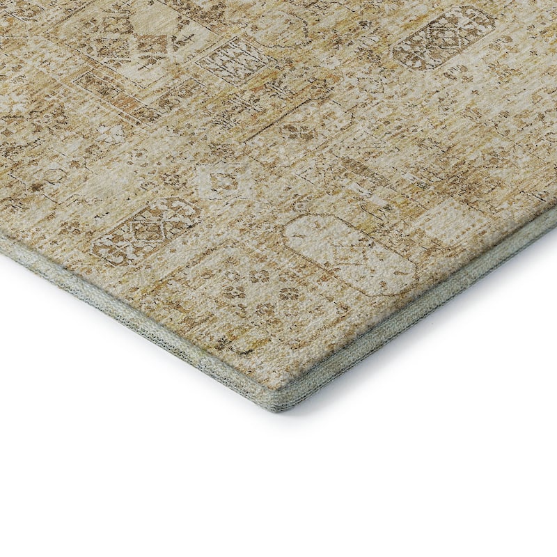 Premium Washable Super Soft Vintage Traditional Mayfield Rug