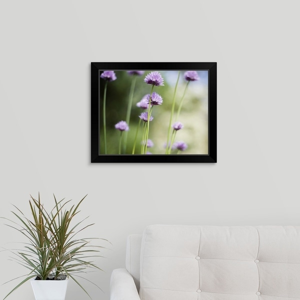 "Purple flowers of the common garden herb growing in garden, close-up" Black Framed Print