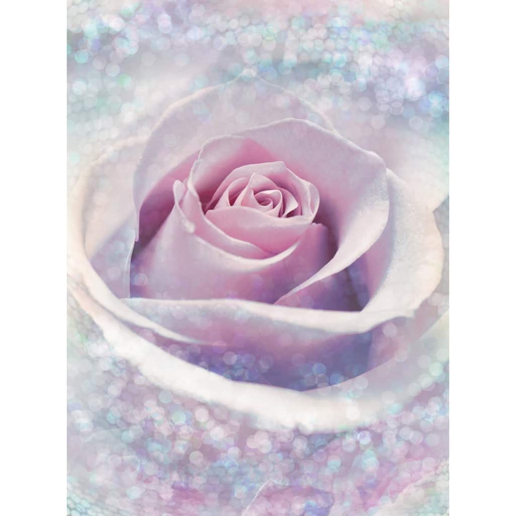 Komar Mystic Rose Wall Mural
