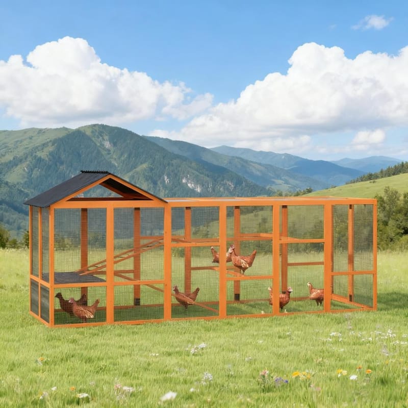 Wooden Chicken Coop for 6-10 Chickens