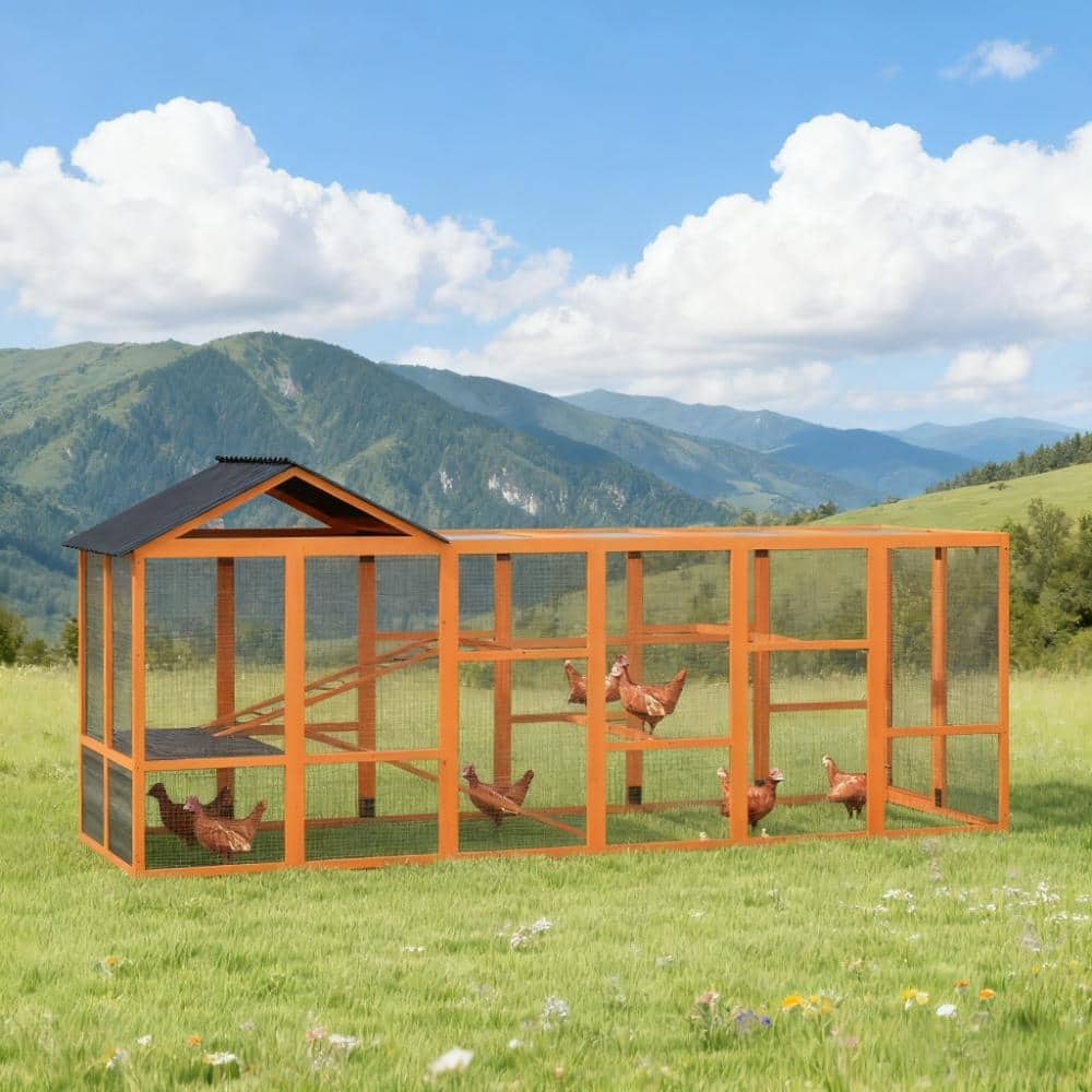 Wooden Chicken Coop for 6-10 Chickens