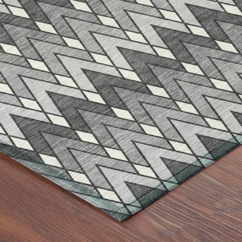 Machine Washable Indoor/ Outdoor Modern Baxter Chantille Rug