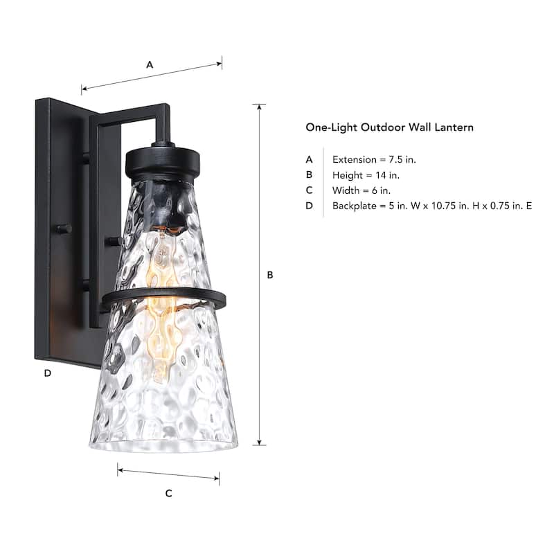 Field Daisy Lane Black Outdoor Hardwired Wall Sconce - 14