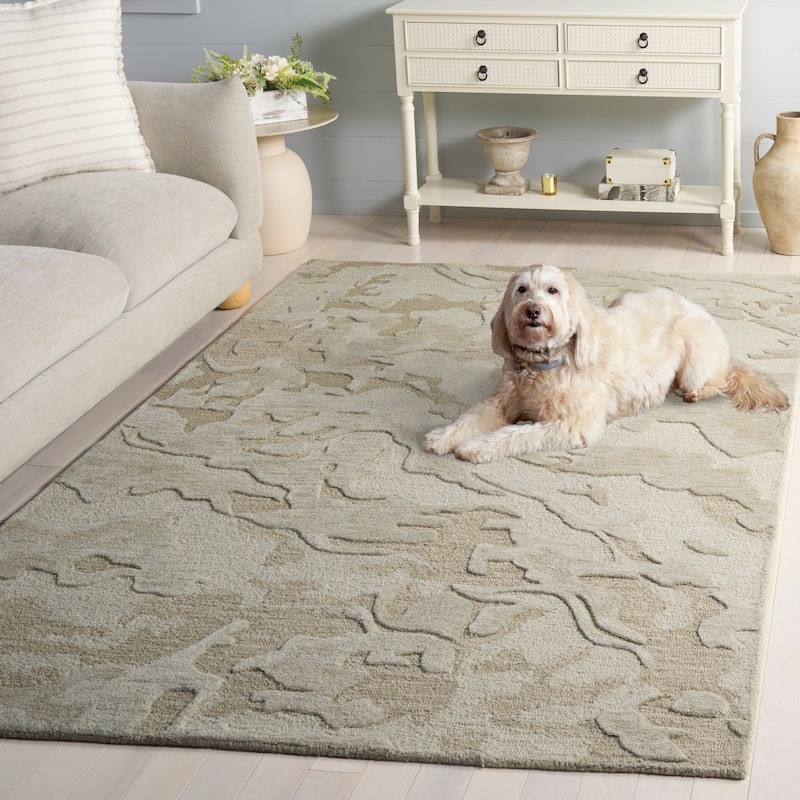 SAFAVIEH Handmade Ebony Teunie Wool Rug