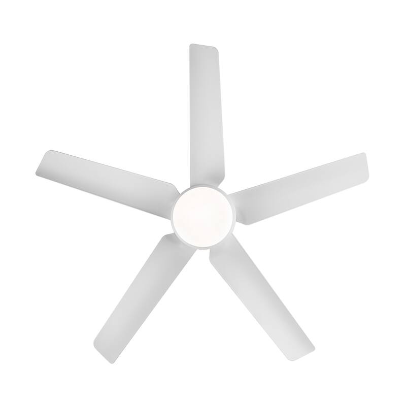48 in. 5 Blades LED Indoor Smart Ceiling Fan with Remote Control