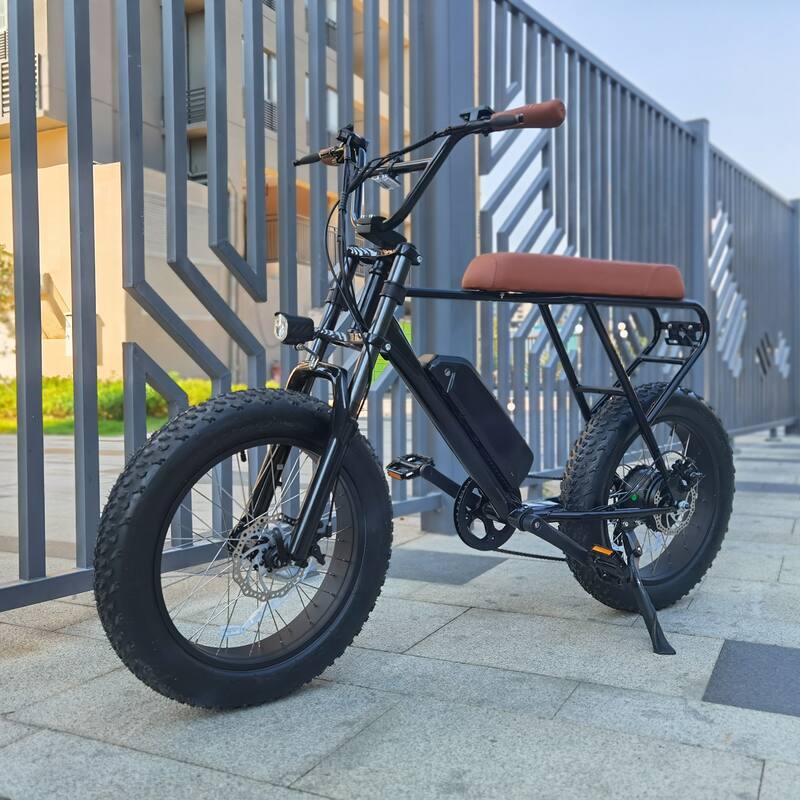 4" Wide Tires Shimano 6-Speed E-Bike with Removable Battery