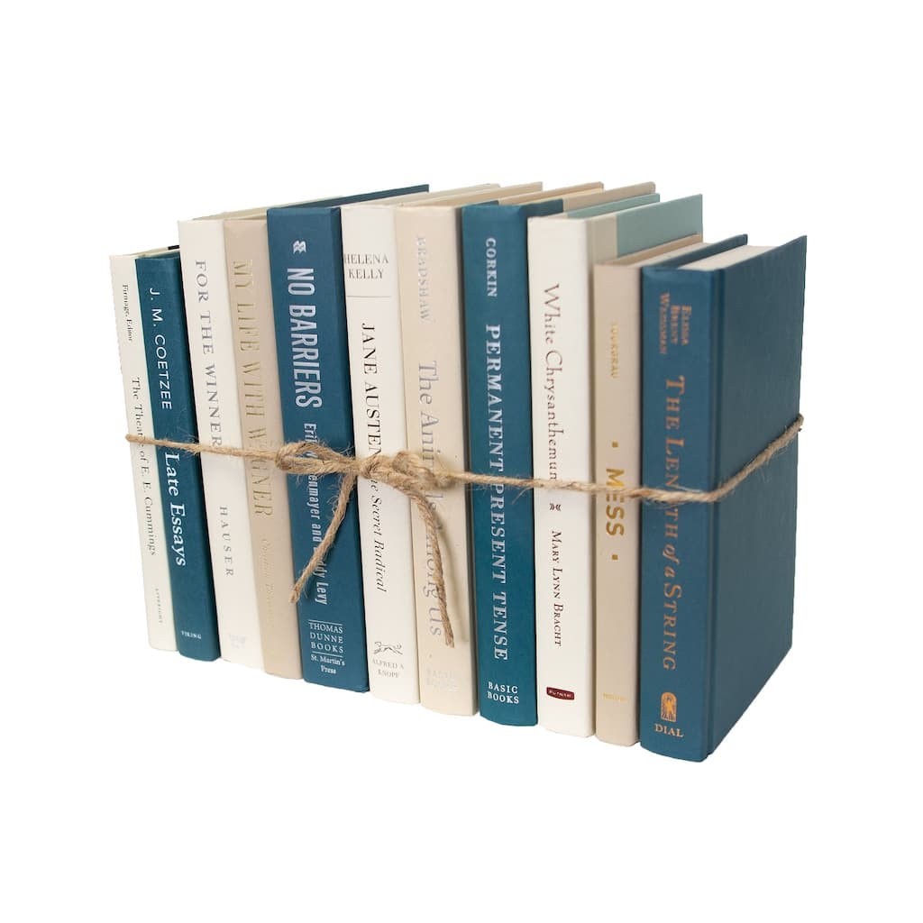 Books Blue Decorative Accessories: Northern Shore ColorPak