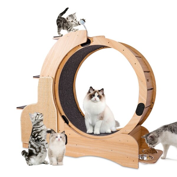 Cat scratching by online food bowl