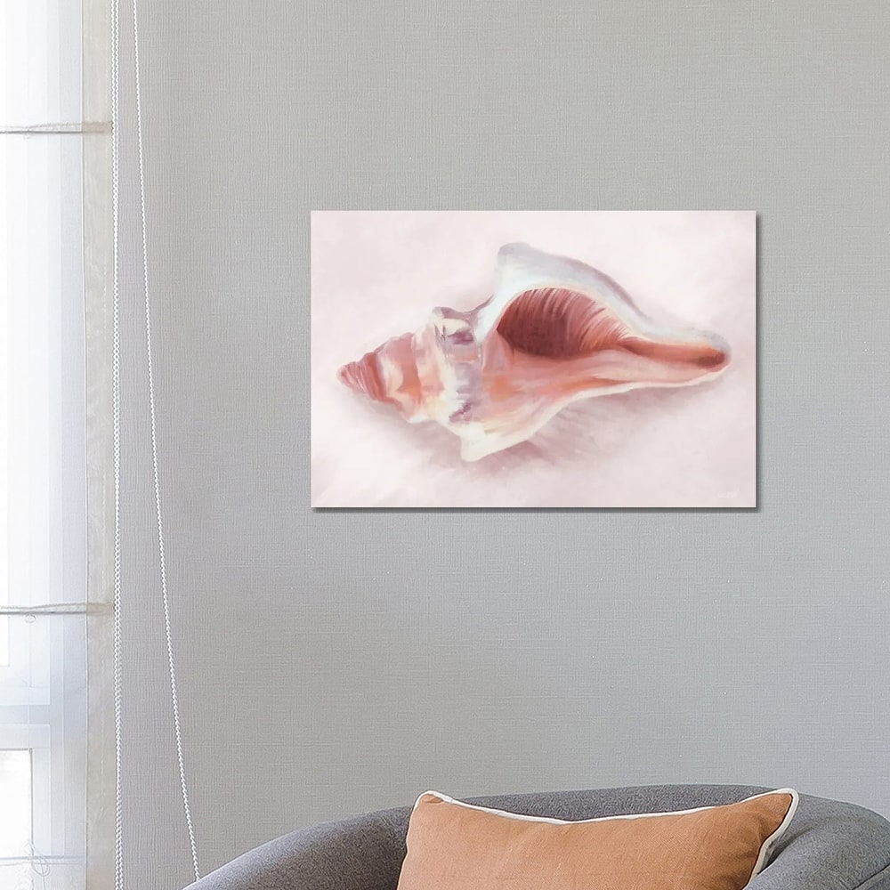 iCanvas "Conch Shell Blush II" by House Fenway Canvas Print