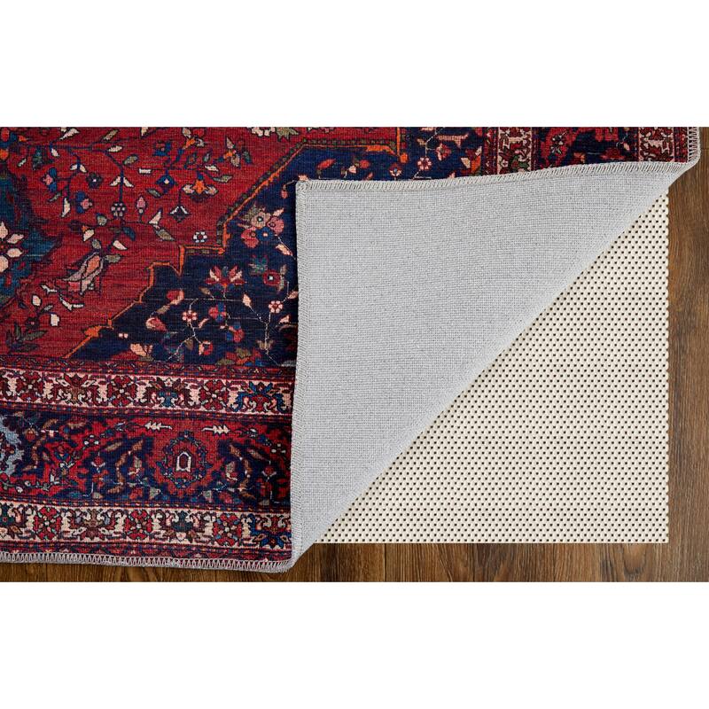 Birchlawn R39HD Medallion Transitional Area Rug