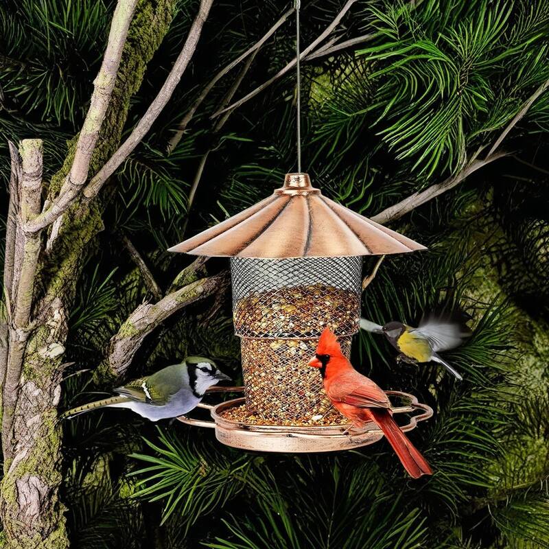 Hanging Bird Feeder with Lid, Bird Feeders For Outdoor