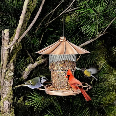 Hanging Bird Feeder with Lid, Bird Feeders For Outdoor