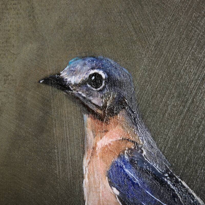 Graceful Poise II (Eastern Bluebird)(30 x 40) Canvas Art Print