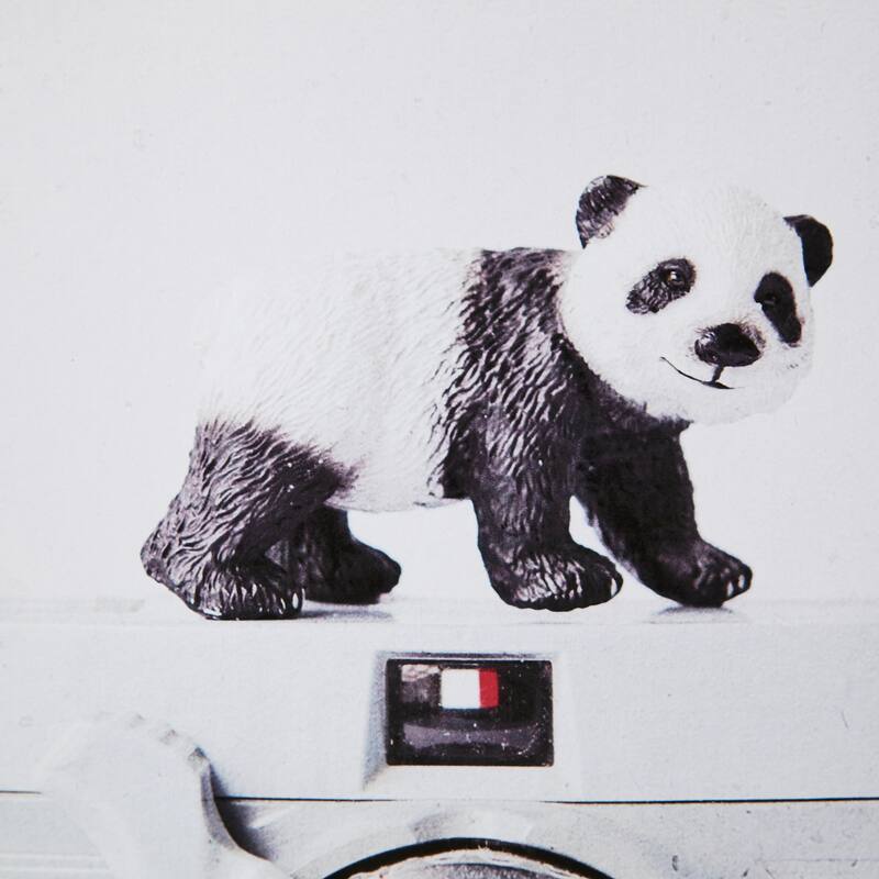 Panda & Vintage Camera Framed Art Print