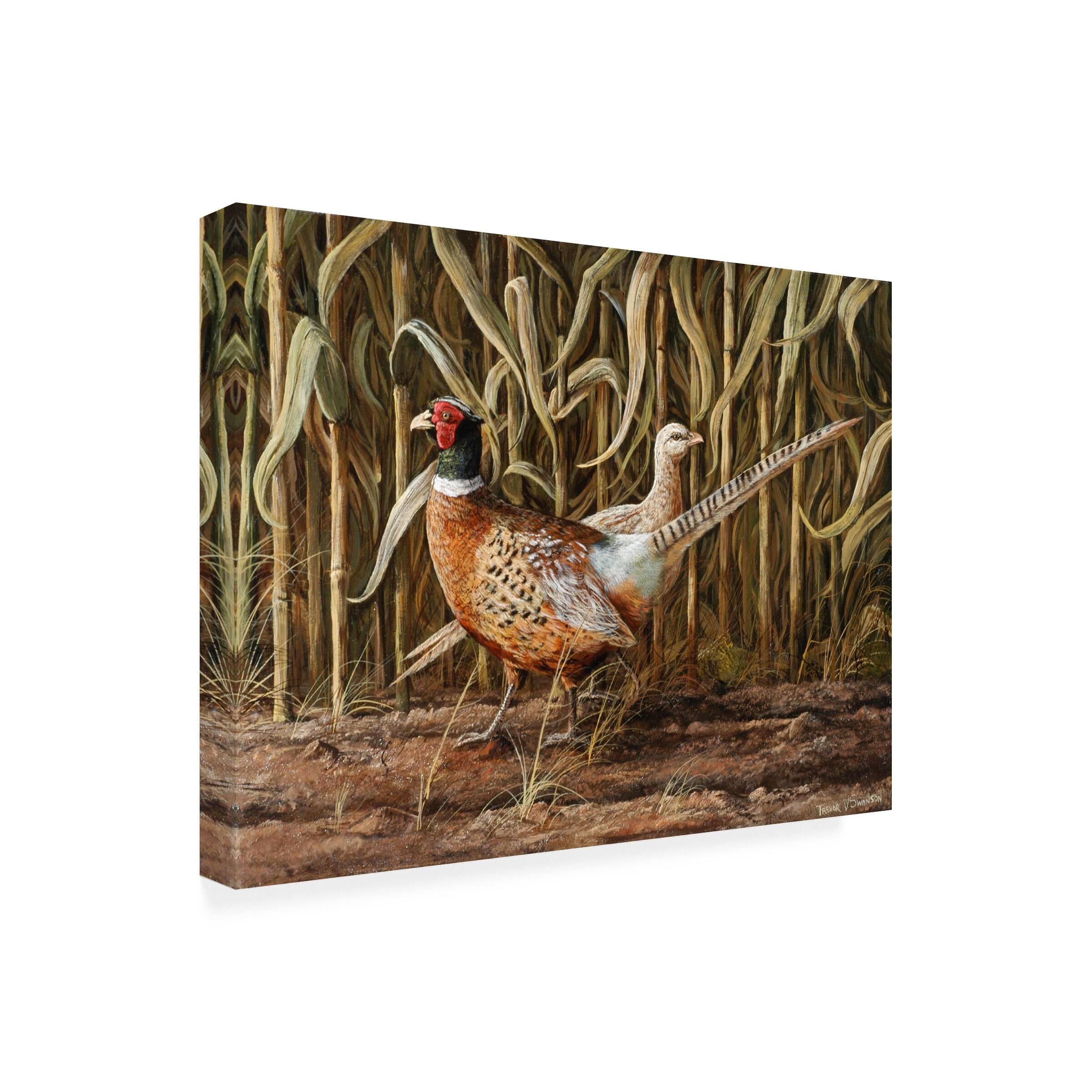 Trevor V. Swanson 'From Cover' Canvas Art Bed Bath & Beyond 39537638