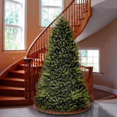 National Tree Company 10 ft. Dunhill Fir Tree - 10 Foot