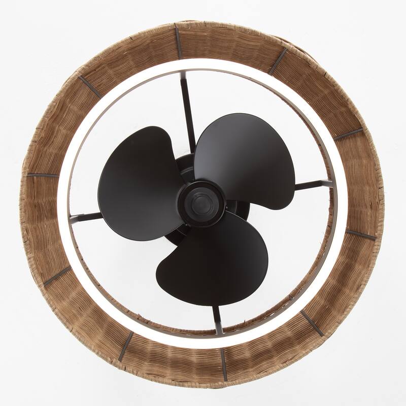 Modern Ceiling Fan with LED Light & Remote Control