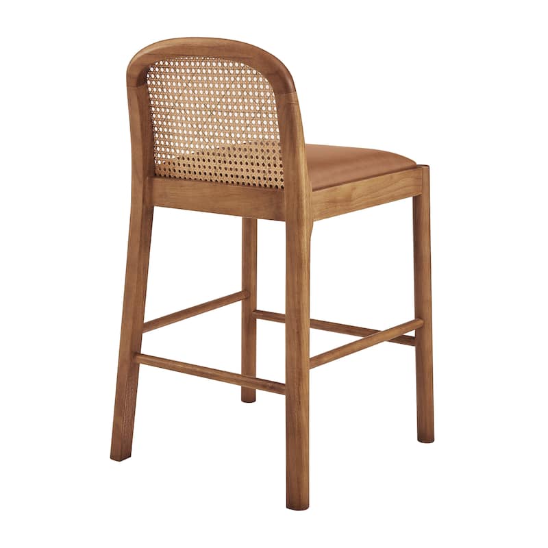 NPD Furniture Donna Faux Leather Rattan Counter Stool (Set of 2)