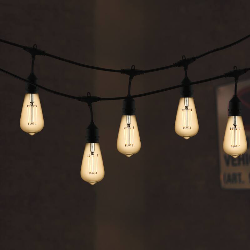 Light Society Aquella ST21 Shape LED Filament Light Bulb (Set of 4) - Clear