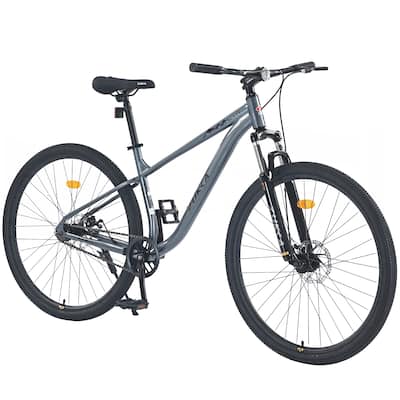 29 Inch Wheels Single Speed Mountain Bike