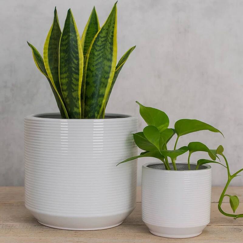Fusie Planter Set of 2, Round, White Ceramic, Horizontal Texture