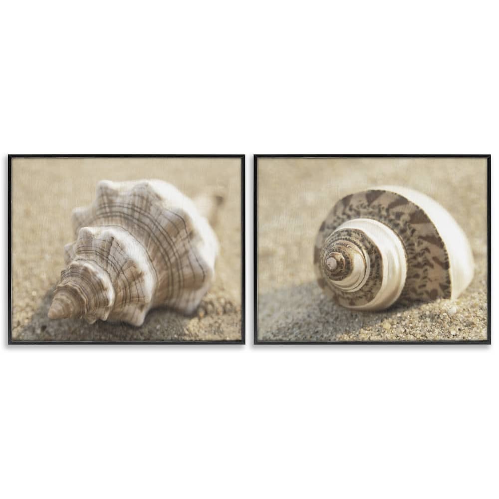 Stupell Neutral Tone Sea Life Framed Giclee Art Design By Dora Rotondella (Set of 2)