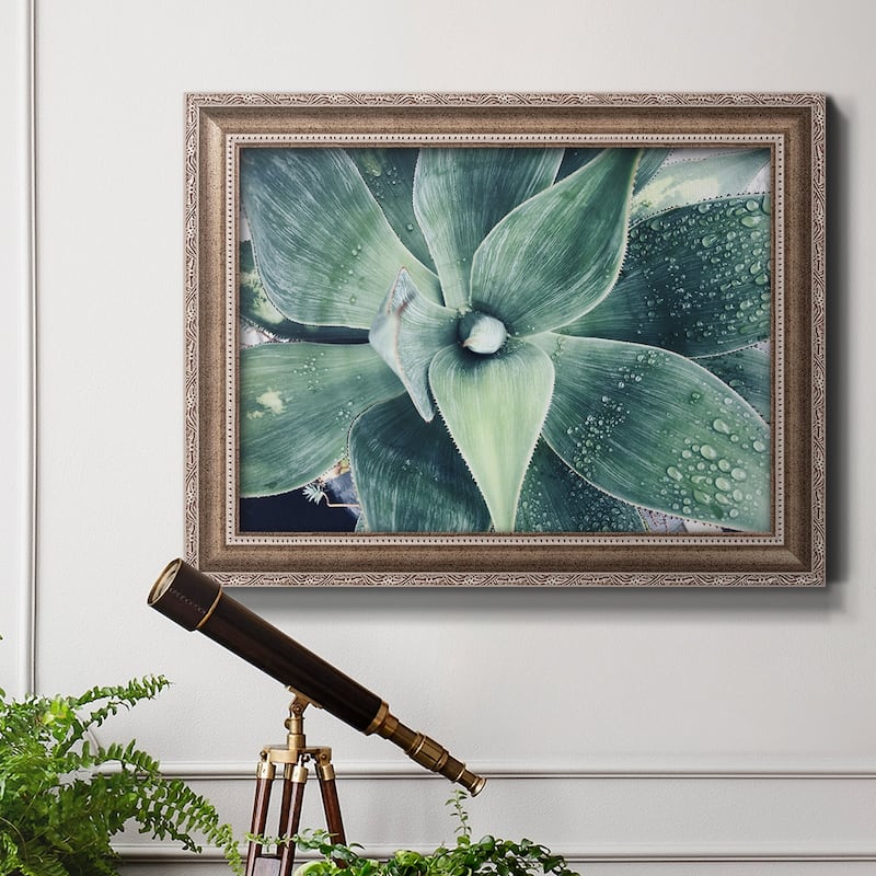 Green Tropical Succulent VIII Premium Framed Canvas- Ready to Hang